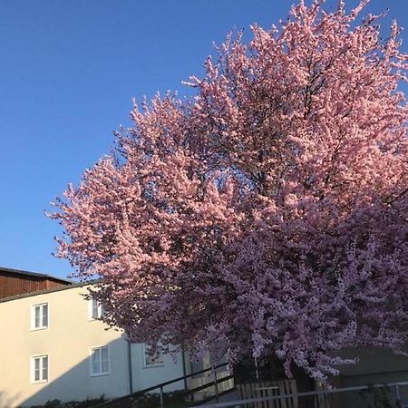 Landpension Gschwantner Lengenfeld Exteriör bild