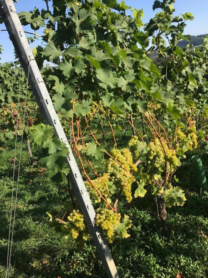 Landpension Gschwantner Lengenfeld Exteriör bild